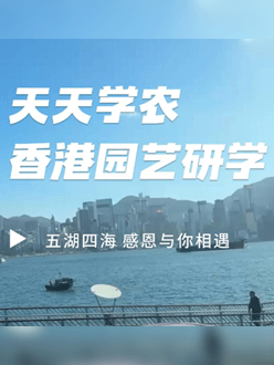 与香港园艺学会结合进行香港园艺研学，专业园境师带队解说。