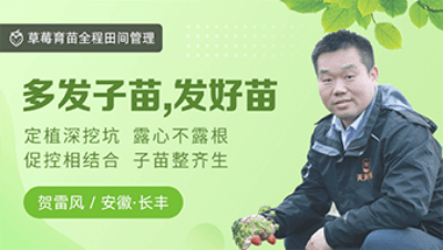 多发子苗，发好苗